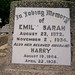Harry Simmons Photo 41