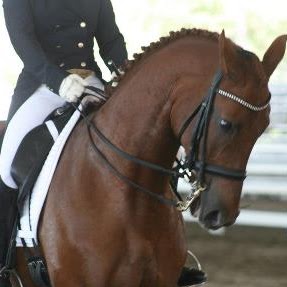 Julie Abernathy Photo 3