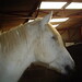 Connie Stabler Photo 11