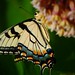 Debbie Mabry Photo 15
