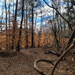 Chris Rowell Photo 6