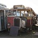 Dennis Norton Photo 13