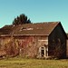 Joanne Land Photo 10