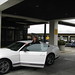 Sharon Hertz Photo 7