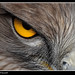 Jose Aguila Photo 30