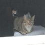 Robin Horne Photo 35