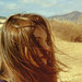 Donna Burns Photo 37