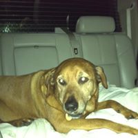 Travis Traylor Photo 6