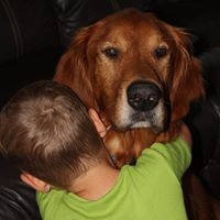 Debra Cooke Photo 10