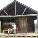 Cathleen Phillips Photo 8