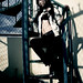 Angel Lam Photo 28