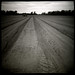 Diana Farmer Photo 37