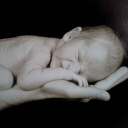 Jason Jacobs Photo 19