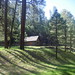 Zane Wells Photo 16