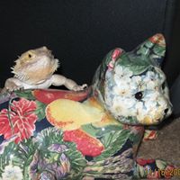 Nancy Andersen Photo 18