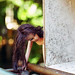 Tammy Hill Photo 16