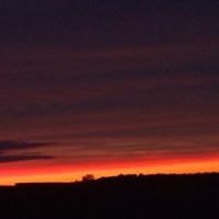 Kathy Fennell Photo 18