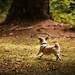 Joy Burnham Photo 6