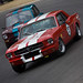 David Betts Photo 34