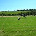 Jan Musgrave Photo 2