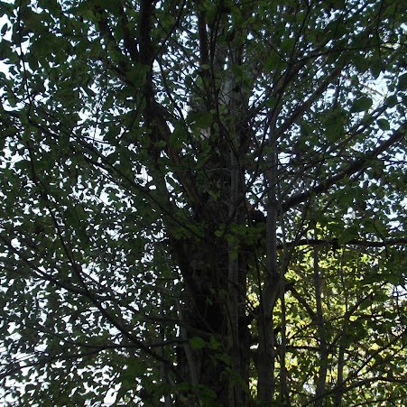 Sue Lowe Photo 10