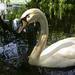 Martin Schwan Photo 16