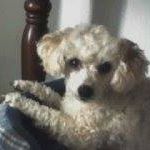 Dolores Magdaleno Photo 3