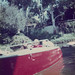 Janice Patrick Photo 19