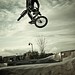 Lawrence David Photo 17