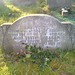 Amy Ernest Photo 7
