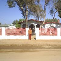 Patricia Baker Photo 10