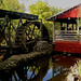 Debbie Clifton Photo 15