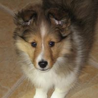 Kriste Taylor Photo 3