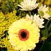 Teresa Flowers Photo 20