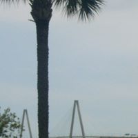Julie Peeples Photo 4