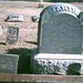 Augustus Martin Photo 3