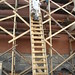 Robin Ivins Photo 10