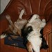 Betsy Crouch Photo 8