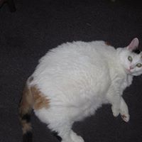Dawn Weatherwax Photo 7