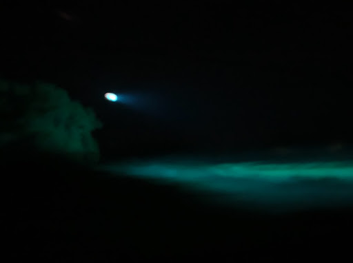 Stella Park Photo 11