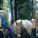 Brenda Pack Photo 20