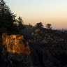 Lori Milmoe Photo 3