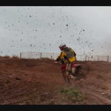 Adam Rees Photo 33