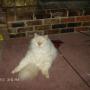 Ruth Bonner Photo 25