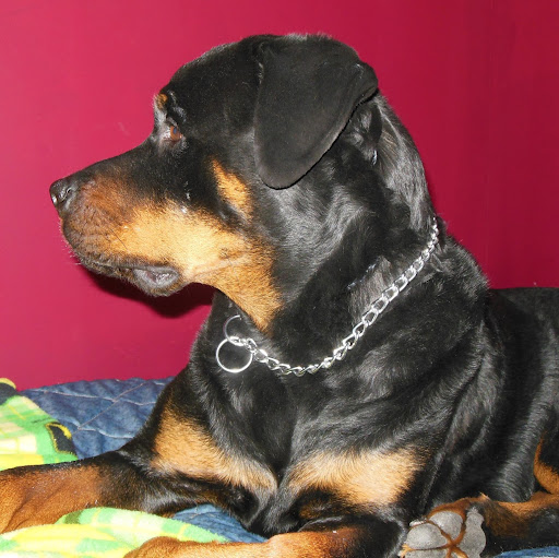 Bonnie Marshall Photo 48