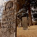 Henry Wolfe Photo 7