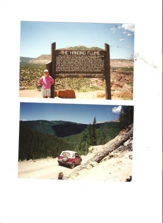Ann Michaels Photo 5