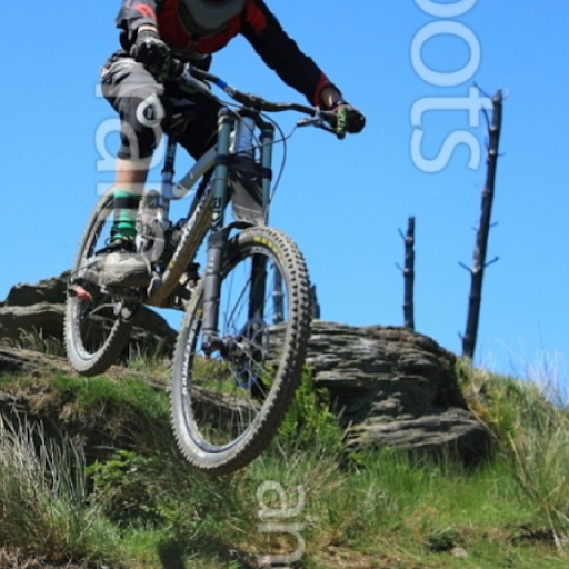 Harry Shaw Photo 6