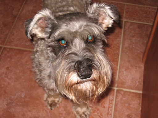 Ellen Frederick Photo 7