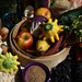 S Cook Photo 7